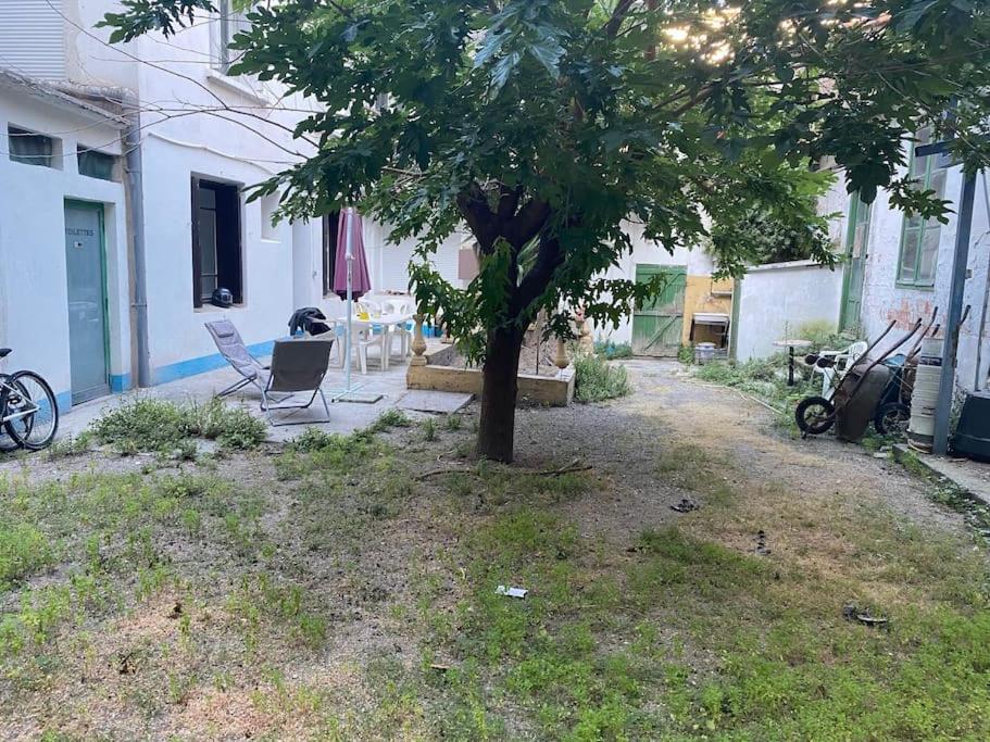 Appt 4 Pers Avec Jardin Ombrage En Centre Ville De Sète Buitenkant foto